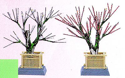 紅白梅(21cm)