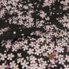 和柄コットン生地 桜空(墨黒) コットンこばやし桜さくら文様