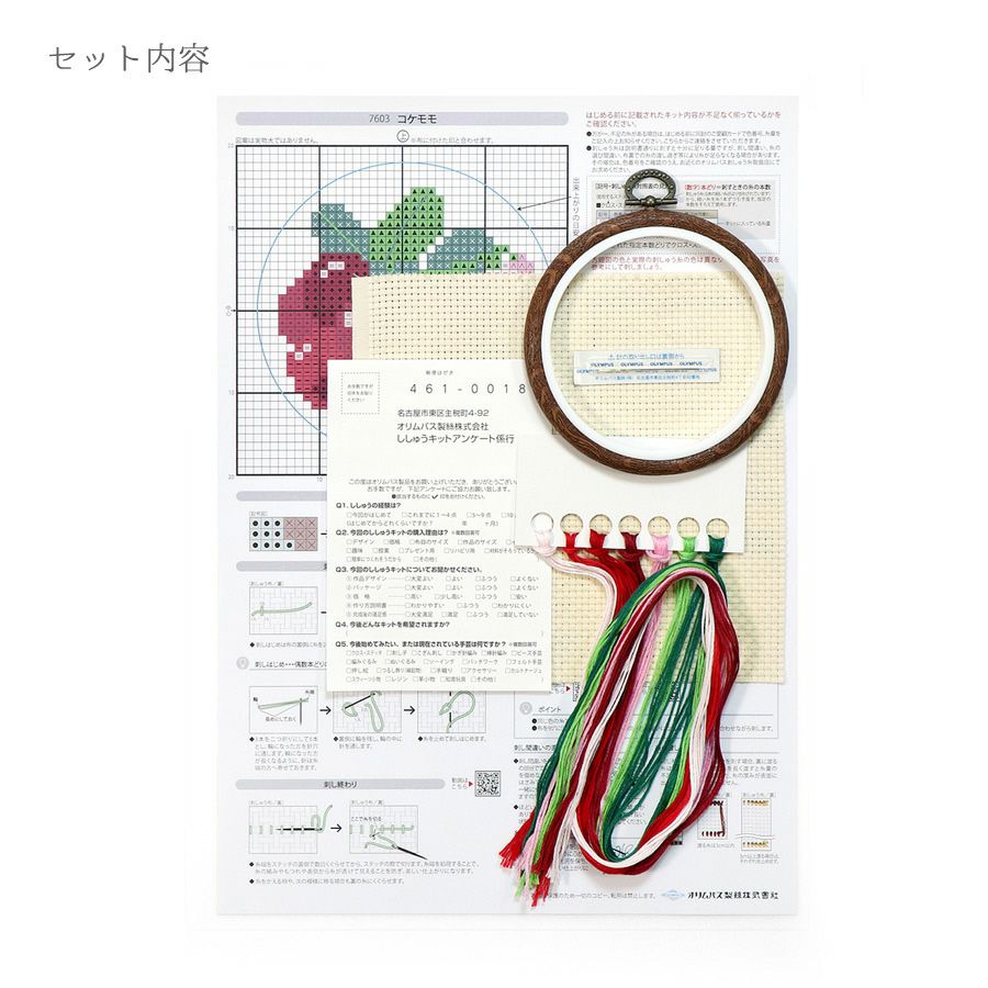 かんたんクロスステッチキット コケモモ 簡単クロスステッチ制作キット 高山植物 高嶺の花 初心者向き