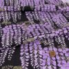 和柄コットン生地 藤の花(黒) 10cm単位 切り売り 黒地藤の花文様 和風花柄木綿 コットンこばやし 女性浴衣生地